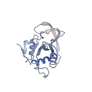 4636_6qtz_E_v1-1
Cryo-EM structures of Lsg1-TAP pre-60S ribosomal particles