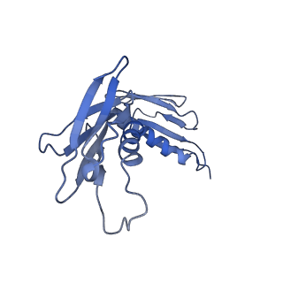 4636_6qtz_F_v1-1
Cryo-EM structures of Lsg1-TAP pre-60S ribosomal particles