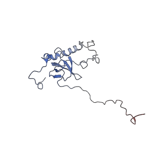 4636_6qtz_G_v1-1
Cryo-EM structures of Lsg1-TAP pre-60S ribosomal particles