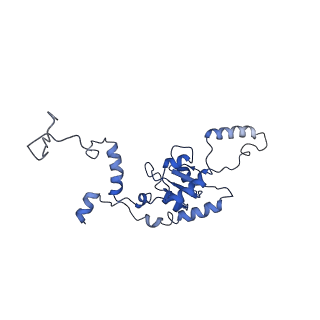 4636_6qtz_H_v1-1
Cryo-EM structures of Lsg1-TAP pre-60S ribosomal particles