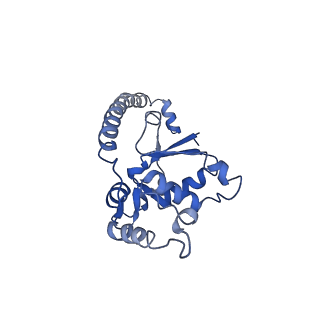 4636_6qtz_J_v1-1
Cryo-EM structures of Lsg1-TAP pre-60S ribosomal particles
