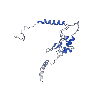 4636_6qtz_K_v1-1
Cryo-EM structures of Lsg1-TAP pre-60S ribosomal particles