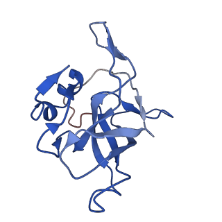 4636_6qtz_L_v1-1
Cryo-EM structures of Lsg1-TAP pre-60S ribosomal particles