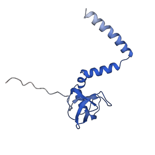 4636_6qtz_M_v1-1
Cryo-EM structures of Lsg1-TAP pre-60S ribosomal particles