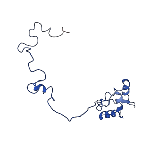 4636_6qtz_N_v1-1
Cryo-EM structures of Lsg1-TAP pre-60S ribosomal particles