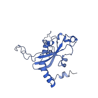 4636_6qtz_O_v1-1
Cryo-EM structures of Lsg1-TAP pre-60S ribosomal particles