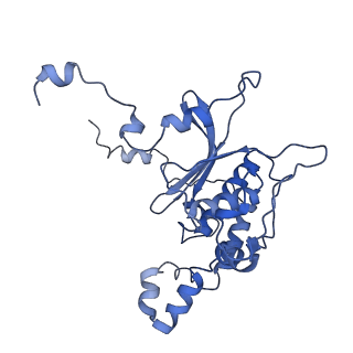 4636_6qtz_P_v1-1
Cryo-EM structures of Lsg1-TAP pre-60S ribosomal particles