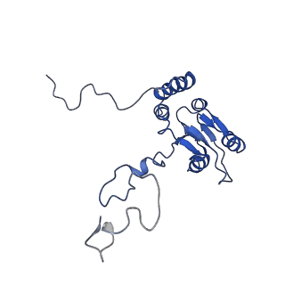 4636_6qtz_Q_v1-1
Cryo-EM structures of Lsg1-TAP pre-60S ribosomal particles