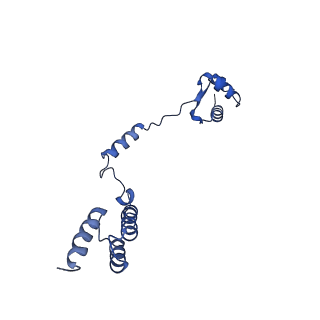 4636_6qtz_R_v1-1
Cryo-EM structures of Lsg1-TAP pre-60S ribosomal particles