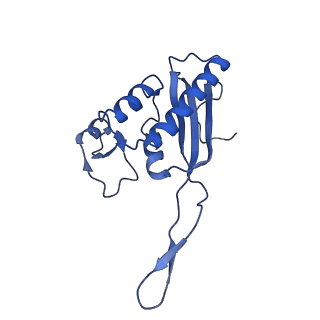 4636_6qtz_U_v1-1
Cryo-EM structures of Lsg1-TAP pre-60S ribosomal particles