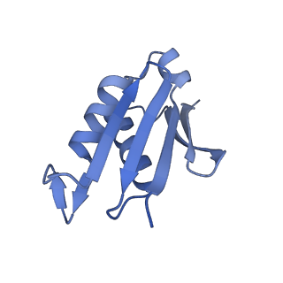 4636_6qtz_V_v1-1
Cryo-EM structures of Lsg1-TAP pre-60S ribosomal particles