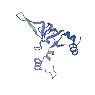 4636_6qtz_X_v1-1
Cryo-EM structures of Lsg1-TAP pre-60S ribosomal particles