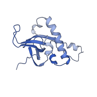 4636_6qtz_Y_v1-1
Cryo-EM structures of Lsg1-TAP pre-60S ribosomal particles