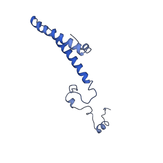 4636_6qtz_Z_v1-1
Cryo-EM structures of Lsg1-TAP pre-60S ribosomal particles