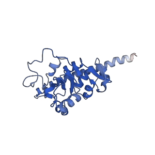 4636_6qtz_b_v1-1
Cryo-EM structures of Lsg1-TAP pre-60S ribosomal particles