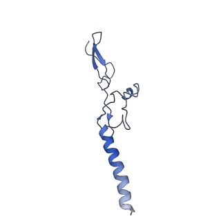 4636_6qtz_g_v1-1
Cryo-EM structures of Lsg1-TAP pre-60S ribosomal particles