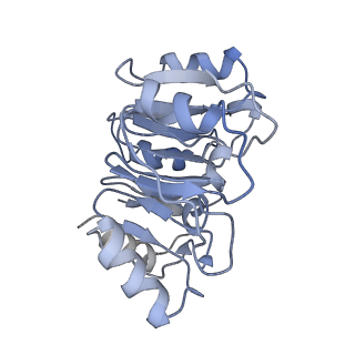 4636_6qtz_n_v1-1
Cryo-EM structures of Lsg1-TAP pre-60S ribosomal particles