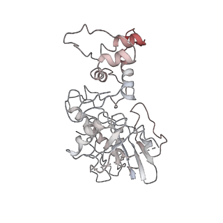 4636_6qtz_o_v1-1
Cryo-EM structures of Lsg1-TAP pre-60S ribosomal particles