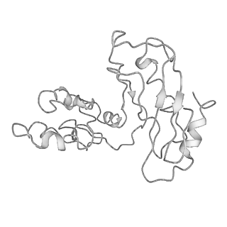 4636_6qtz_p_v1-1
Cryo-EM structures of Lsg1-TAP pre-60S ribosomal particles