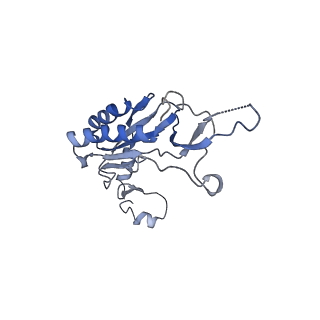4636_6qtz_q_v1-1
Cryo-EM structures of Lsg1-TAP pre-60S ribosomal particles