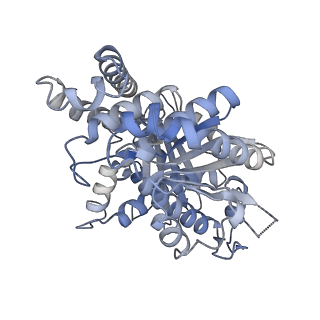 14147_7quc_B_v1-1
D. melanogaster alpha/beta tubulin heterodimer in the GDP form