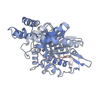 14148_7qud_A_v1-1
D. melanogaster alpha/beta tubulin heterodimer in the GTP form