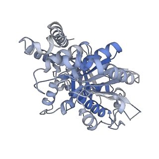 14148_7qud_B_v1-1
D. melanogaster alpha/beta tubulin heterodimer in the GTP form