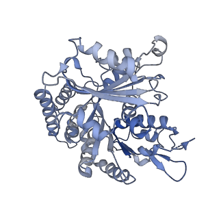 14150_7qup_10A_v1-2
D. melanogaster 13-protofilament microtubule