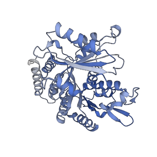 14150_7qup_10B_v1-2
D. melanogaster 13-protofilament microtubule