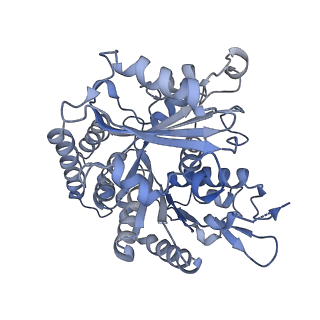14150_7qup_10C_v1-2
D. melanogaster 13-protofilament microtubule