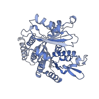 14150_7qup_10D_v1-2
D. melanogaster 13-protofilament microtubule