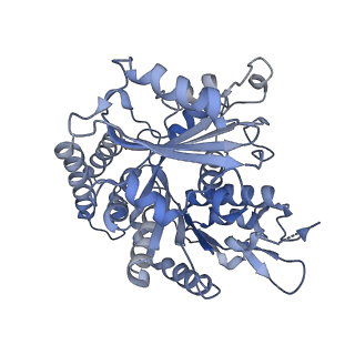 14150_7qup_10E_v1-2
D. melanogaster 13-protofilament microtubule