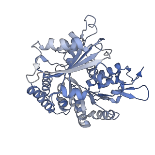 14150_7qup_11A_v1-2
D. melanogaster 13-protofilament microtubule