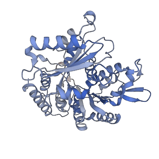 14150_7qup_11B_v1-2
D. melanogaster 13-protofilament microtubule