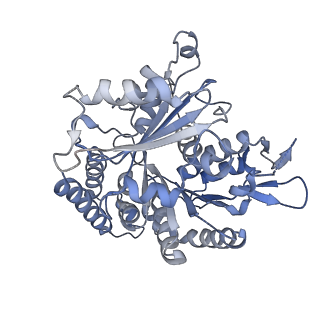 14150_7qup_11C_v1-2
D. melanogaster 13-protofilament microtubule