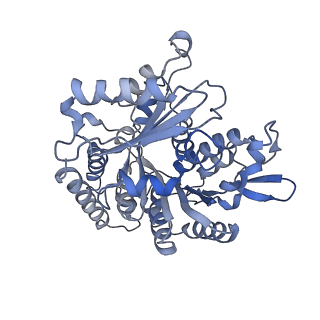 14150_7qup_11D_v1-2
D. melanogaster 13-protofilament microtubule