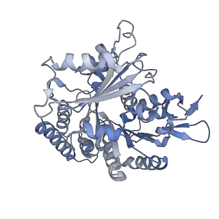 14150_7qup_11E_v1-2
D. melanogaster 13-protofilament microtubule