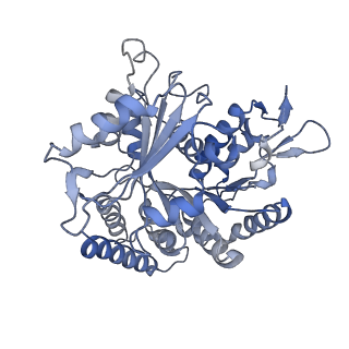 14150_7qup_12A_v1-2
D. melanogaster 13-protofilament microtubule