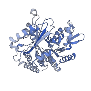 14150_7qup_12B_v1-2
D. melanogaster 13-protofilament microtubule