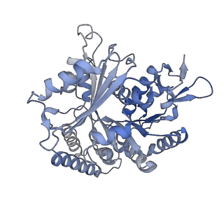 14150_7qup_12C_v1-2
D. melanogaster 13-protofilament microtubule