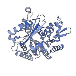 14150_7qup_12D_v1-2
D. melanogaster 13-protofilament microtubule