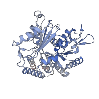 14150_7qup_12E_v1-2
D. melanogaster 13-protofilament microtubule