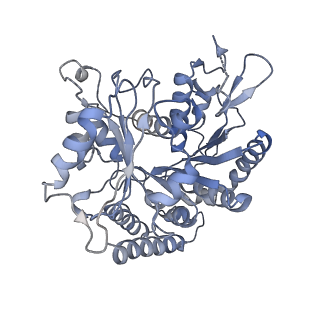 14150_7qup_13A_v1-2
D. melanogaster 13-protofilament microtubule