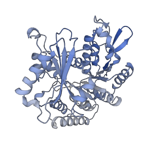 14150_7qup_13B_v1-2
D. melanogaster 13-protofilament microtubule