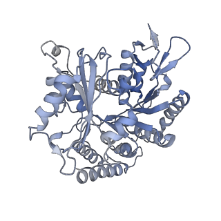 14150_7qup_13C_v1-2
D. melanogaster 13-protofilament microtubule