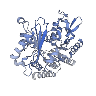 14150_7qup_13D_v1-2
D. melanogaster 13-protofilament microtubule