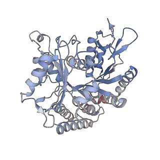 14150_7qup_13E_v1-2
D. melanogaster 13-protofilament microtubule