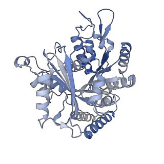 14150_7qup_1A_v1-2
D. melanogaster 13-protofilament microtubule
