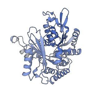 14150_7qup_1B_v1-2
D. melanogaster 13-protofilament microtubule