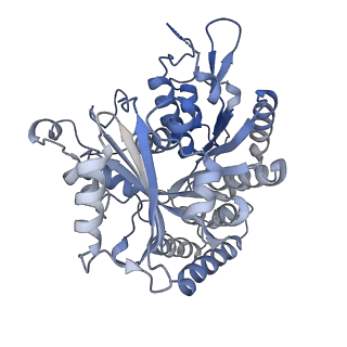 14150_7qup_1C_v1-2
D. melanogaster 13-protofilament microtubule